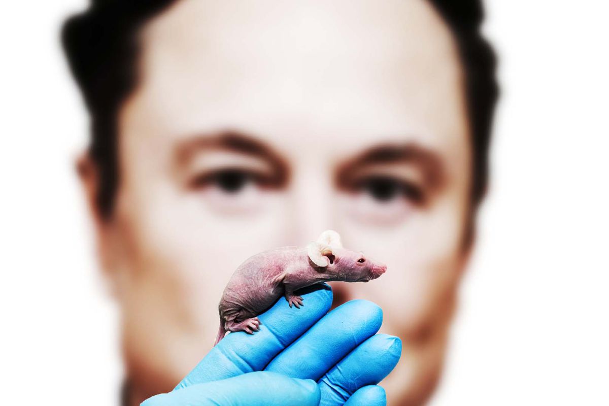 Photo collage of a gloved hand holding a mouse, with Elon Musk’s face in the background.