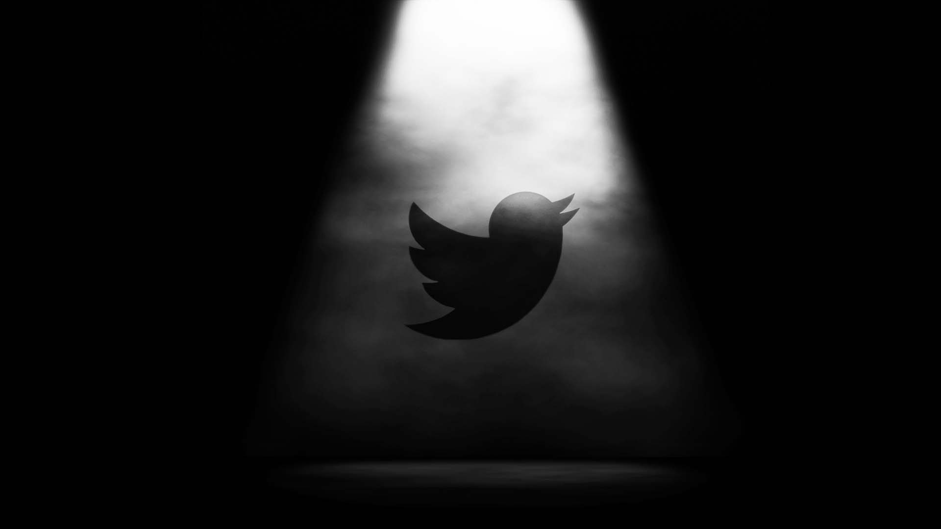 The Twitter logo in a cloudy spotlight.